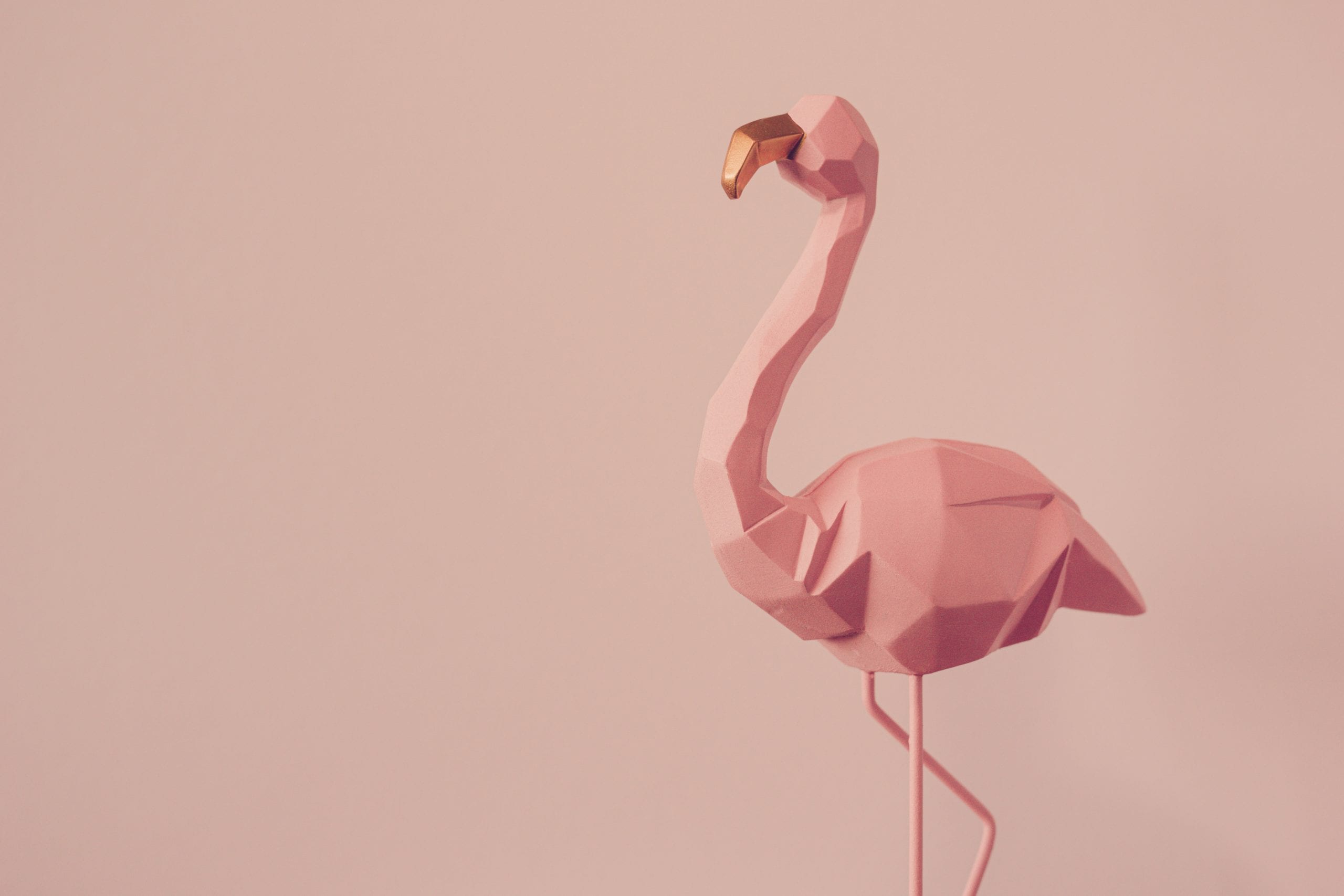 Flamingo geometric, Beautiful Romantic Concept with a Place for Text.  Pink flamingo in studio.